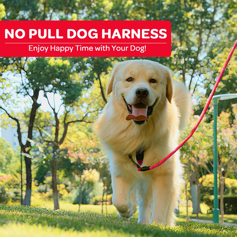 FURRYFECTION arnés perro correas reflectivas para mayor visibilidad
