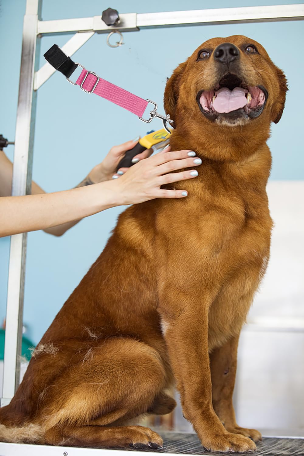 FURSDOLY correa de sujeción para collar, ajuste seguro durante grooming.