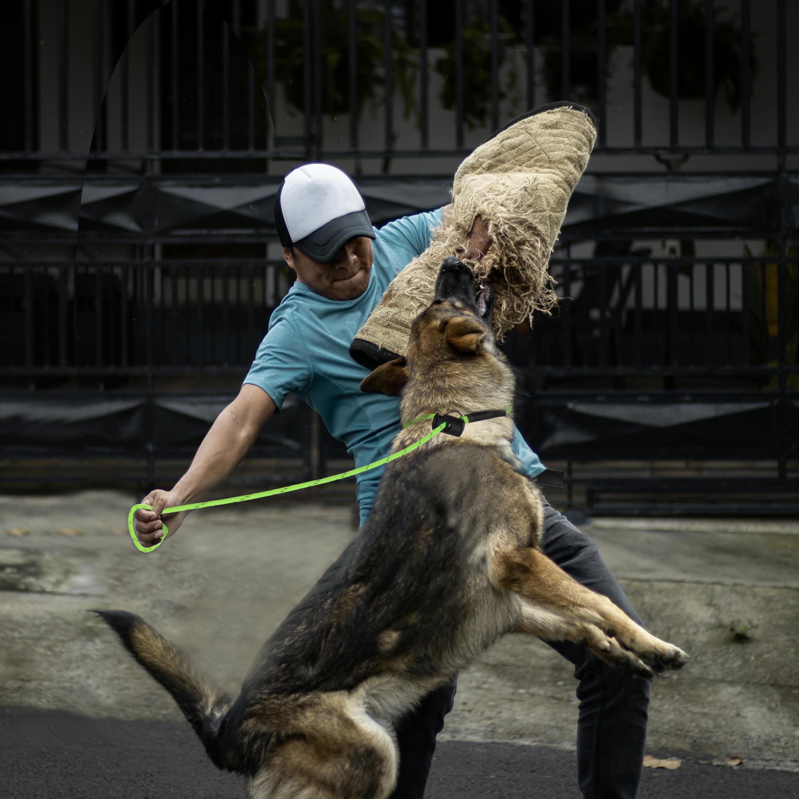 FURSDOLY conjunto de dos correas, versátil para diferentes escenarios de entrenamiento.