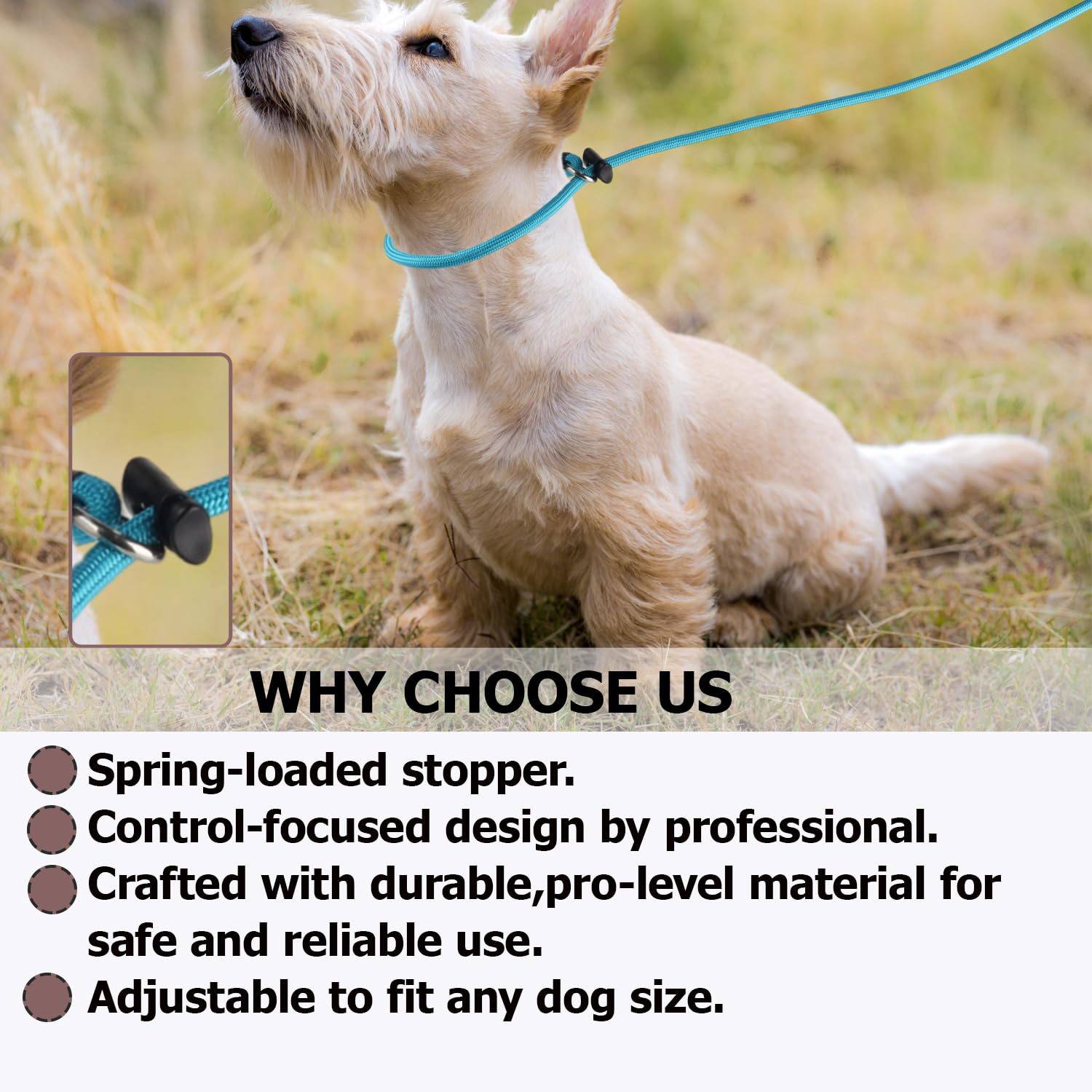 correa nylon resistente FURSDOLY 5ft para perros medianos y grandes.