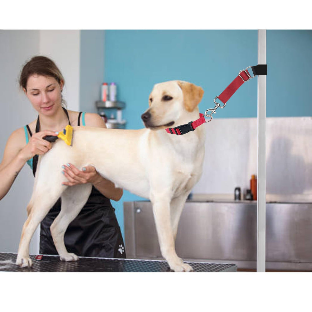 FURSDOLY uso versátil en clínicas y salones de peluquería canina.