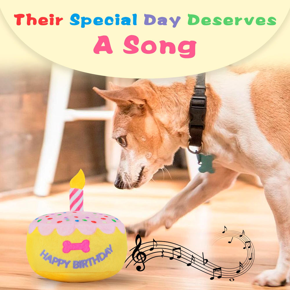 FurtasticFinds juguete musical con tarta para perros y juego