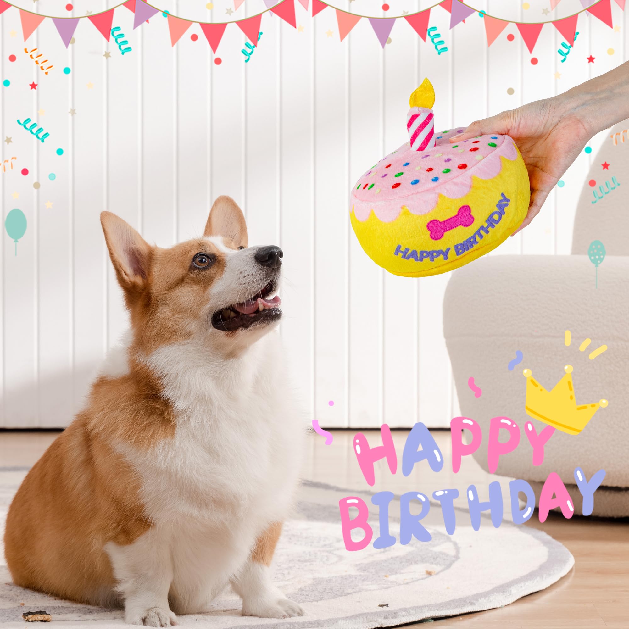 FurtasticFinds regalo de cumpleaños para perros con canción alegre
