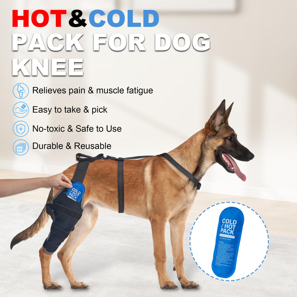 Gel frío utilizado con la ortesis Furtent para reducir inflamación en la rodilla del perro