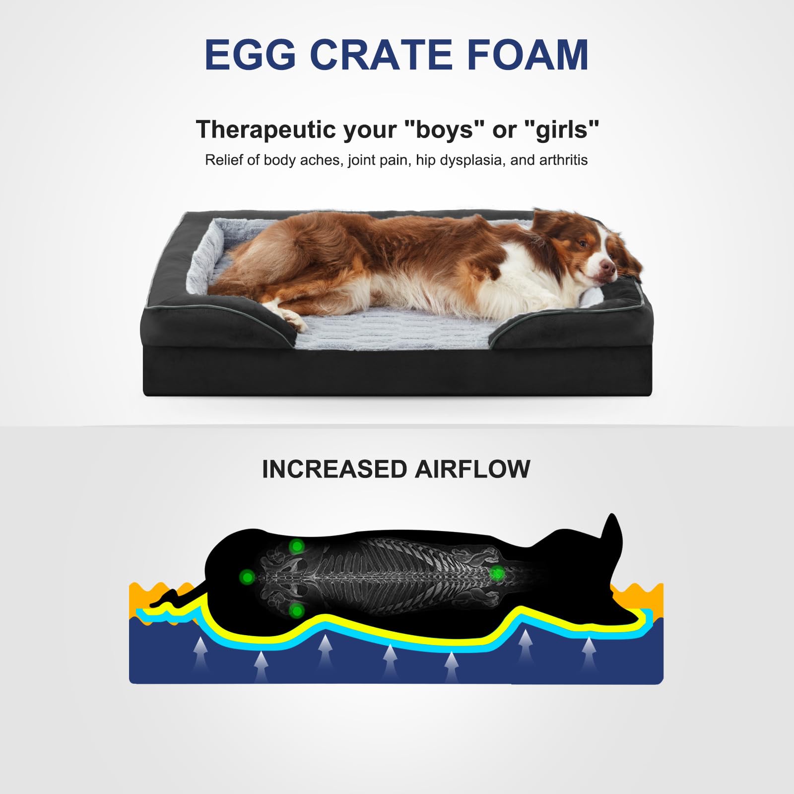 Cama con bordes acolchados FURTIME para perro XL, favorece varias posturas de descanso.
