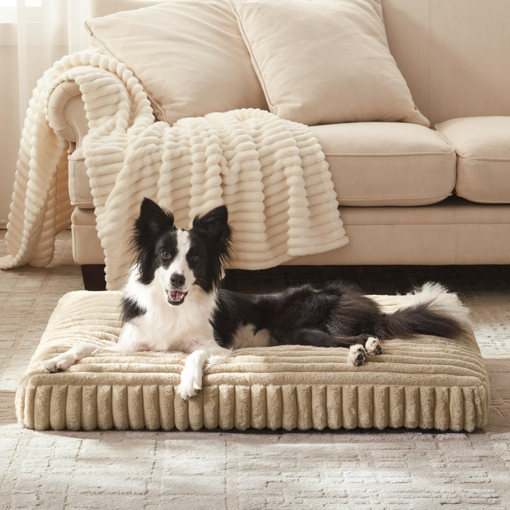 FURTIME cama grande con funda peluche suave y desenfundable, facilita limpieza diaria.