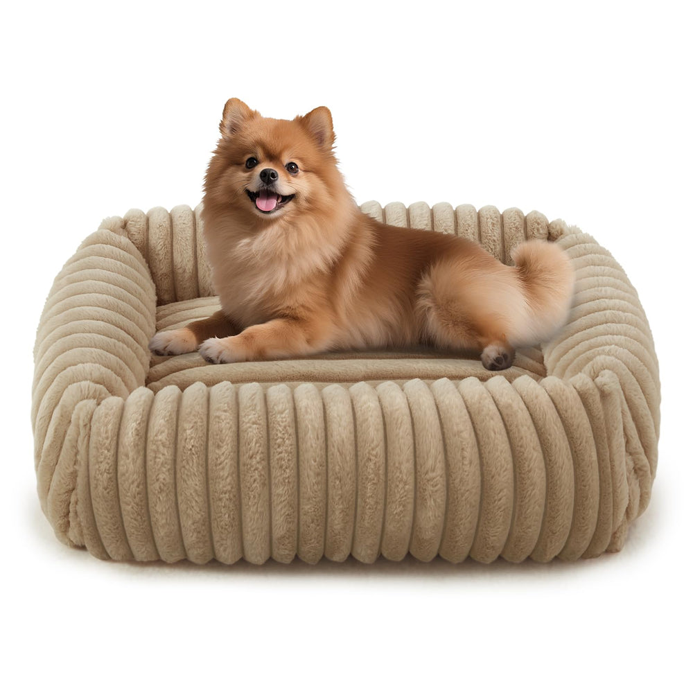 Cama Furtime para perro pequeño, frente, soporte cómodo para la cabeza.