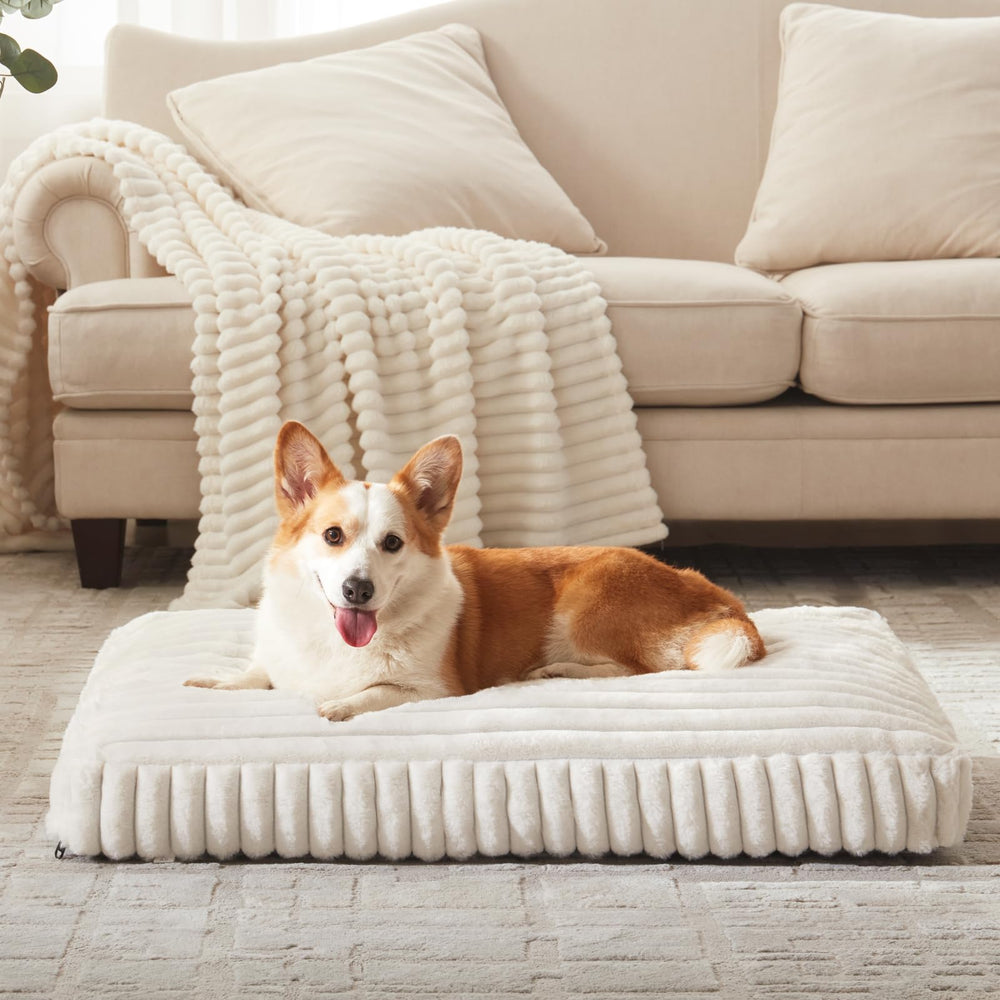 Funda y base antideslizante de FurTime para evitar desplazamientos.