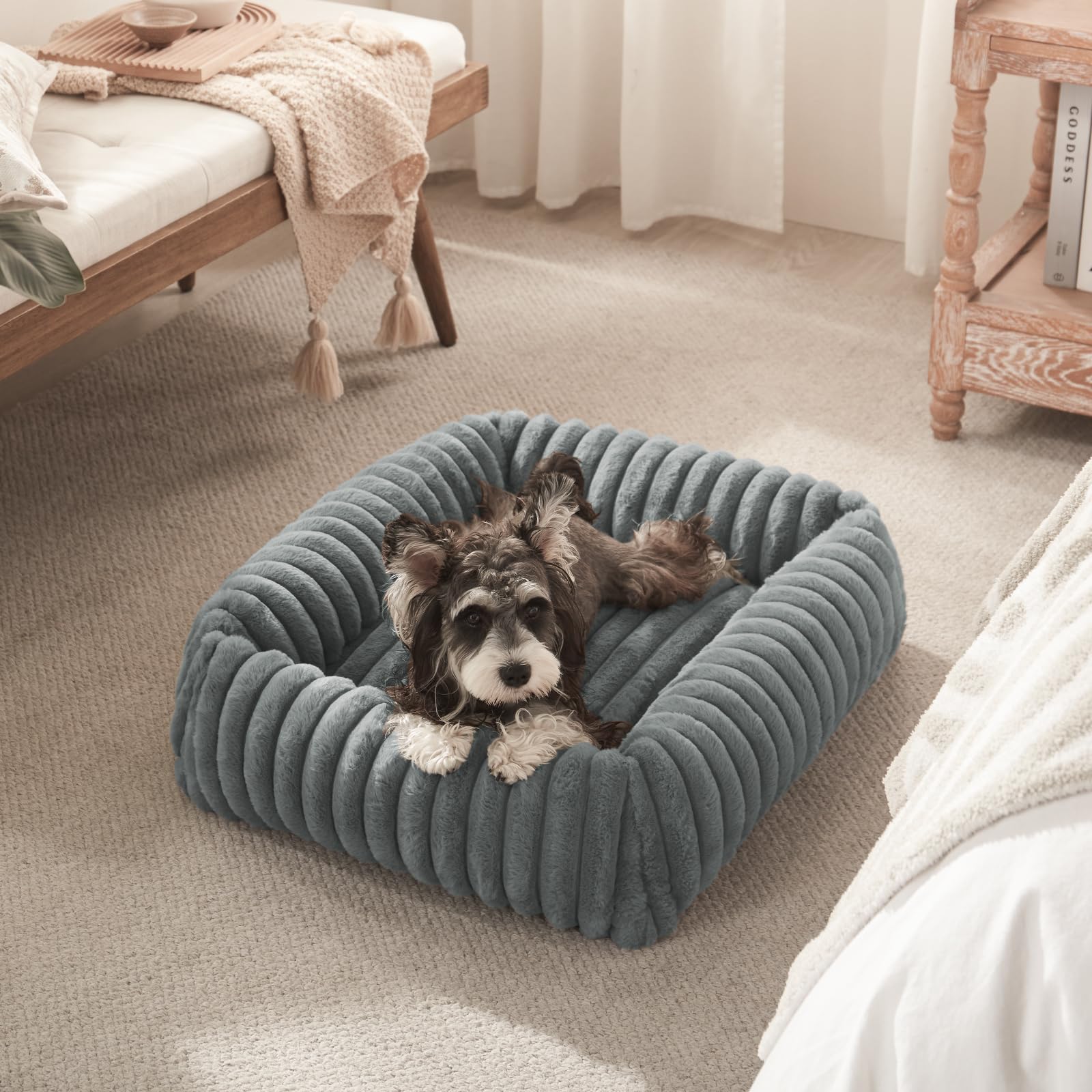 Varias tallas FURTIME disponibles para perros de diferentes pesos.