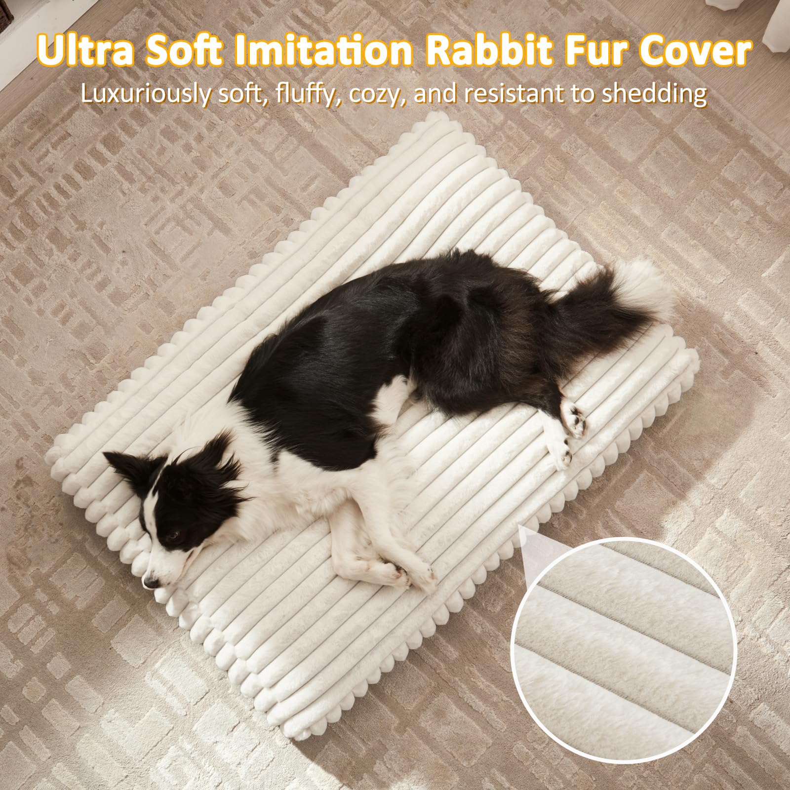Varias tallas Furtime para perros de diferentes tamaños.