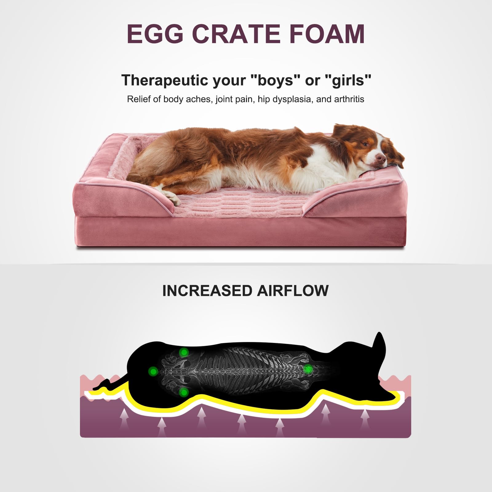Sofá para perro con bordes acolchados de FURTIME para seguridad y descanso.