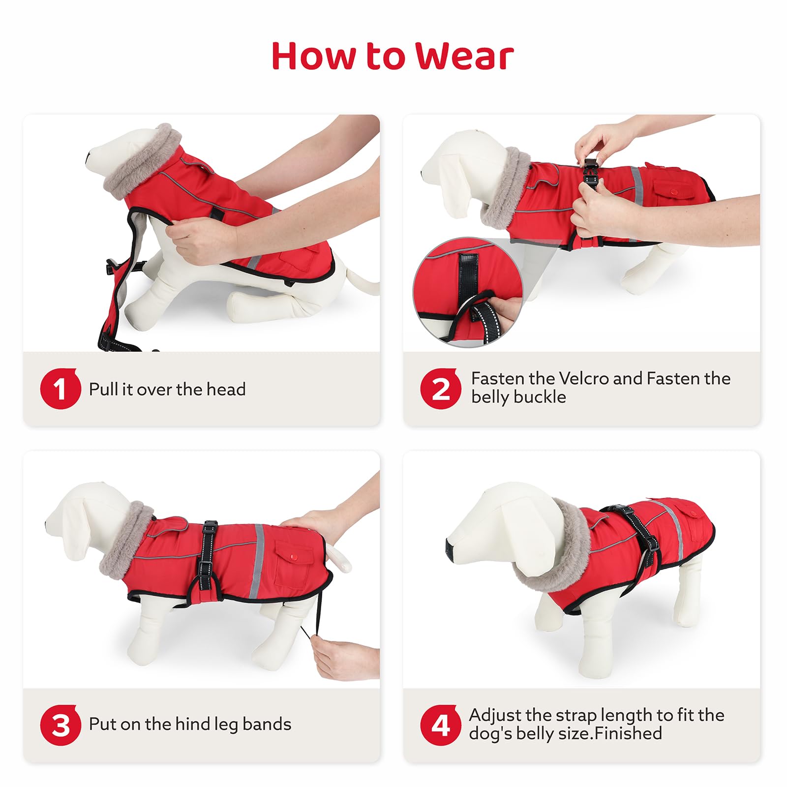 Variedad de tallas FurTime para perros pequeños a grandes