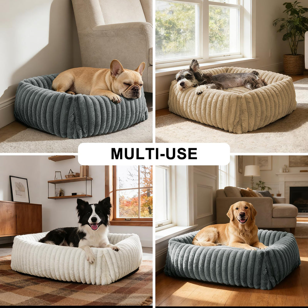 Cuatro tallas disponibles para mascotas de entre 12 y 60 lb.