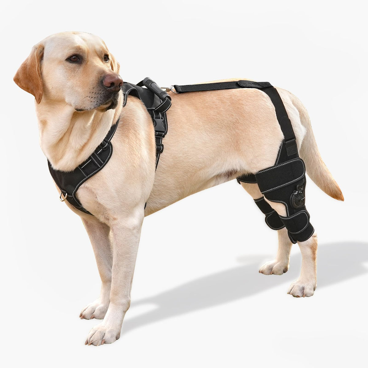 FurWell arnés de pecho para perro, mantiene la corrección y seguridad durante la rehabilitación.
