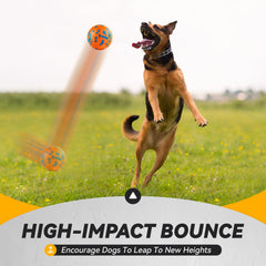 Bola Fusoto para perros en juego de búsqueda y captura.
