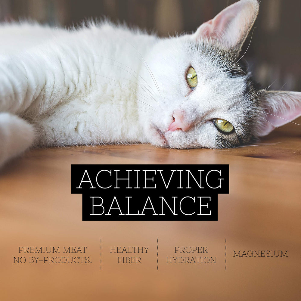 Envase de 24 latas, práctica para abastecer al gato diario
