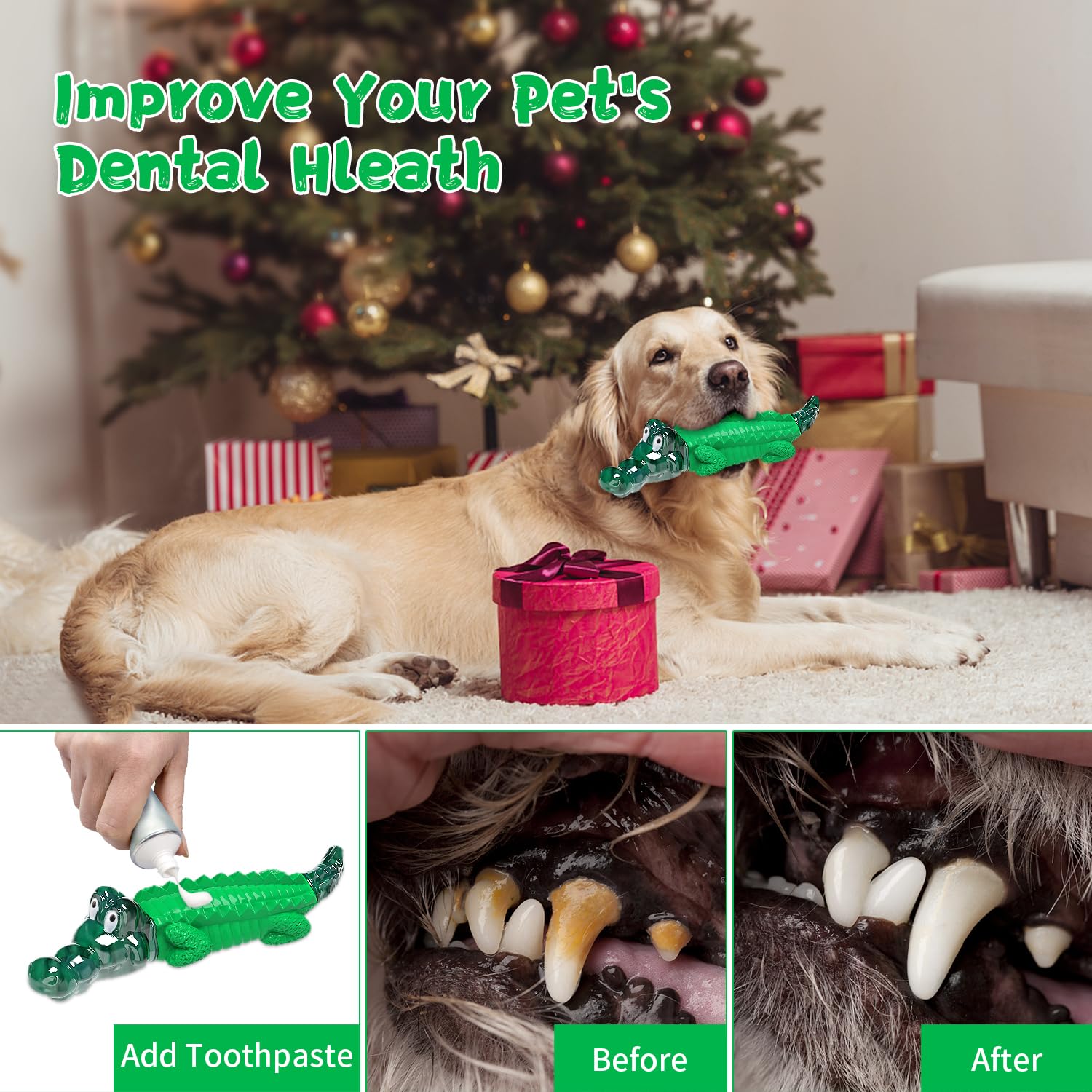 Fuufome regalo ideal para cumpleaños de la mascota