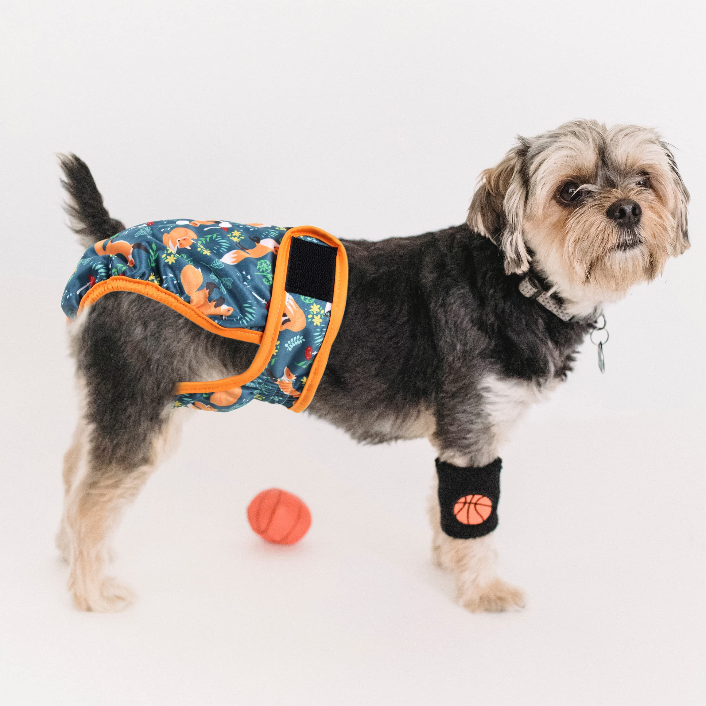 Pañales Fuz Bigaza con estampados brillantes, fácil localización de tu perro.