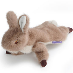 Juguete Fuzzwoof conejo sin relleno, seguro para perros