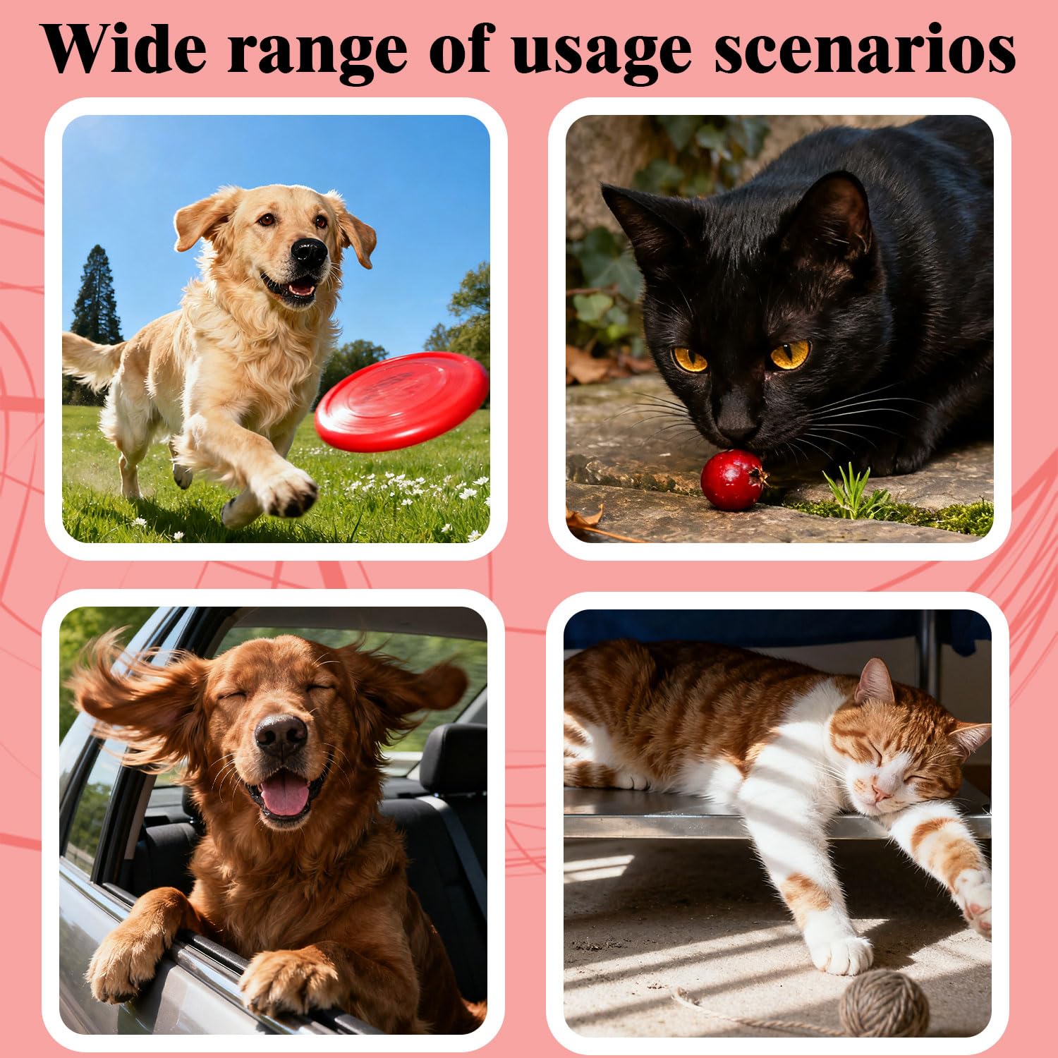 FXAJID historial de rutas: reproduce el recorrido de tu mascota para entender hábitos.