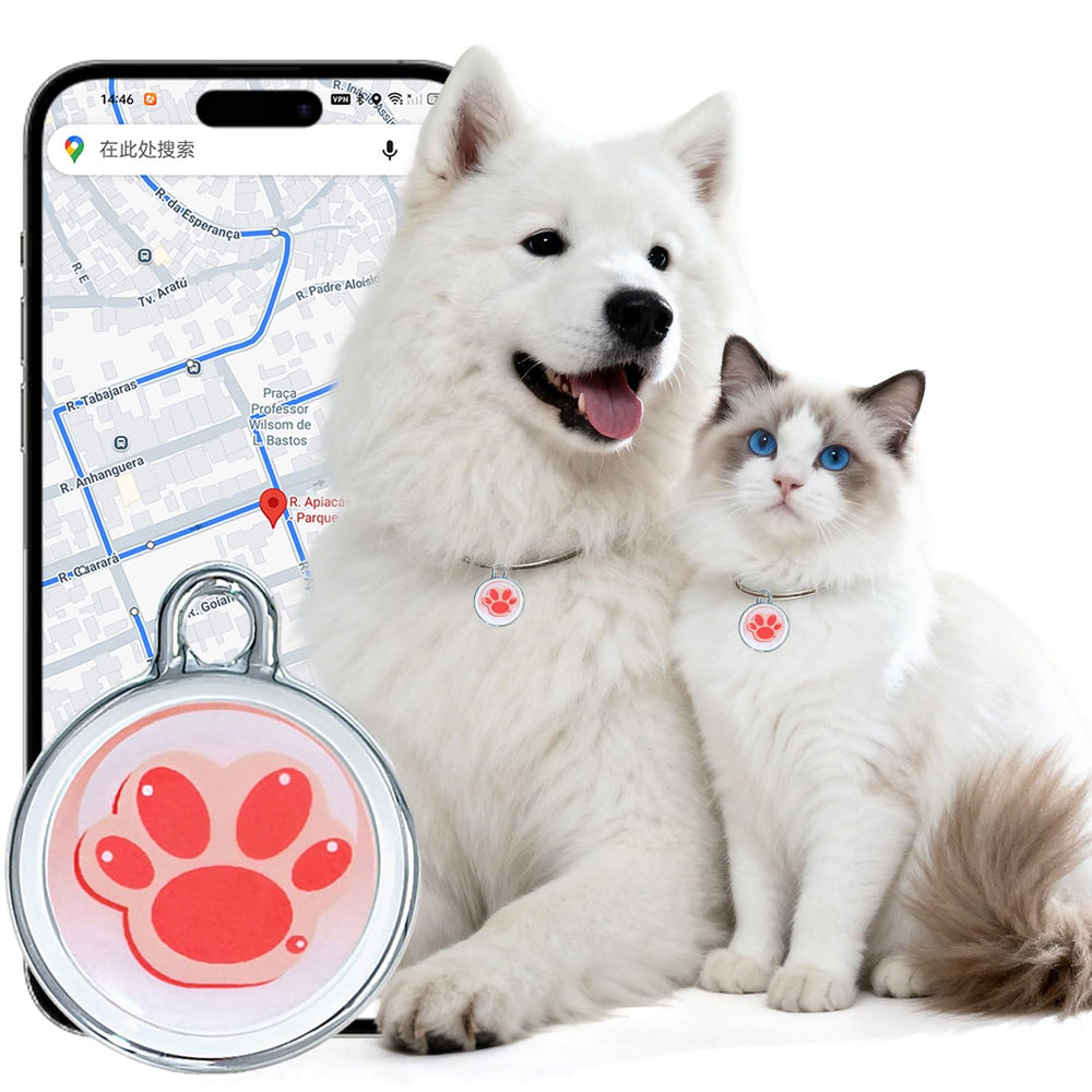 FXAJID rastreador para perros: ubicación en tiempo real para vigilar a tu mascota.