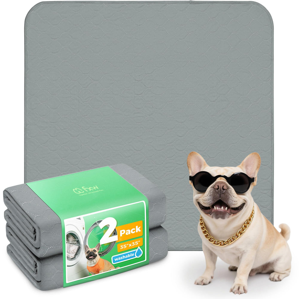 FXW almohadilla lavable para perros en parque: ideal para mantener seco el área de juego.