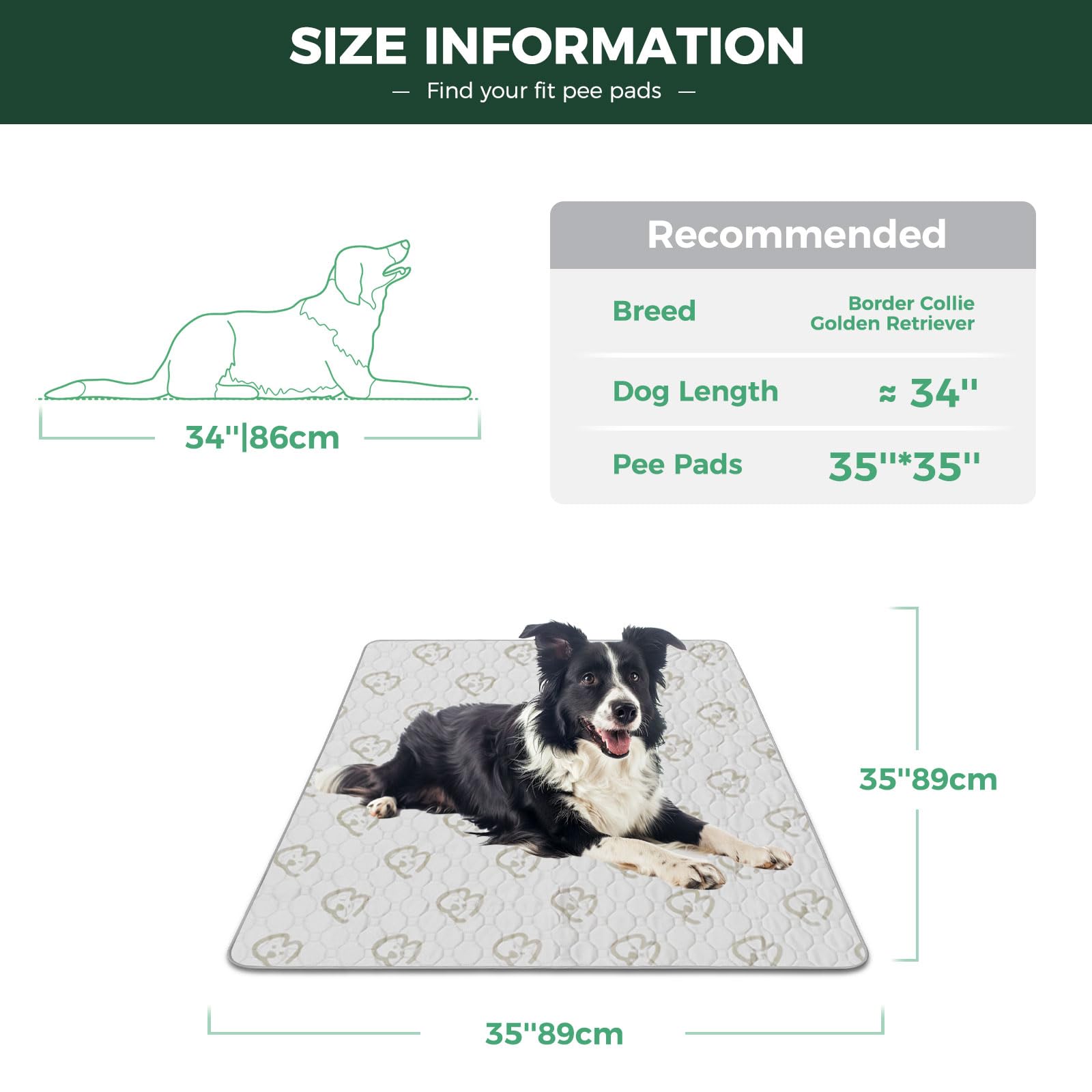 FXW almohadilla impermeable para perro con capa de poliuretano, protege suelos de accidentes
