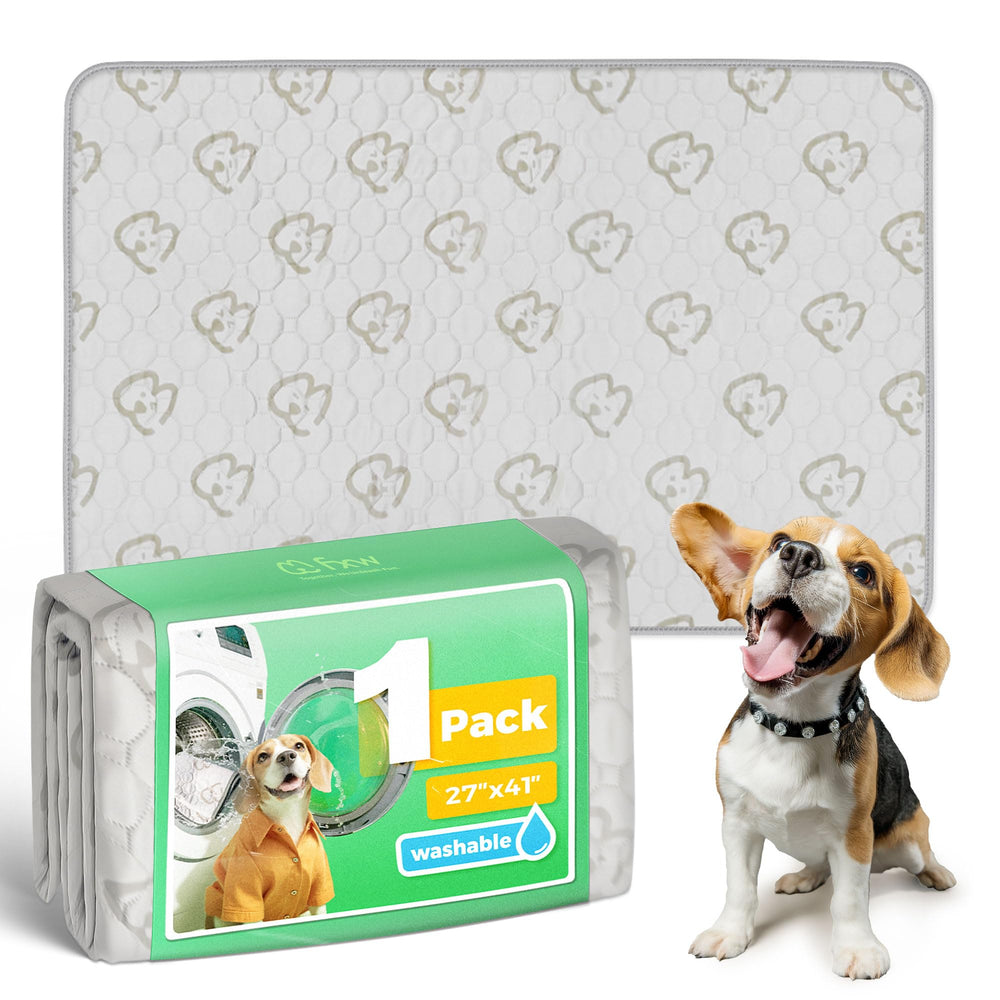 FXW almohadilla absorbente para perros con capa gruesa para mantener seco el área.