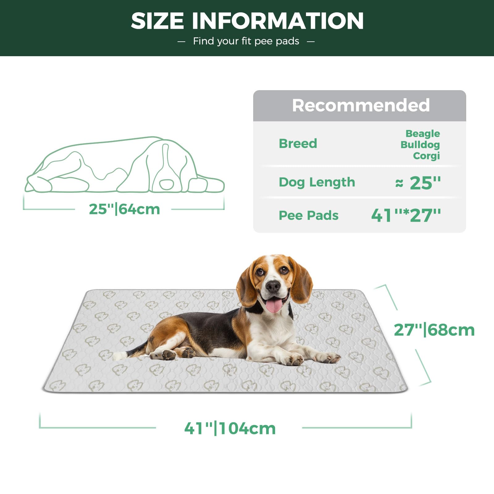 FXW almohadilla impermeable para perros con TPU, previene filtraciones en pisos.