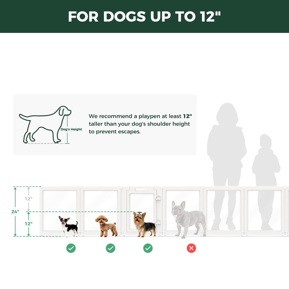 Uso diario en la sala con FXW AuraSpace para perros pequeños