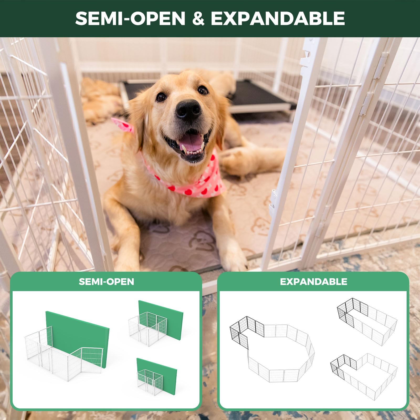 FXW Homeplus Unleashed: perro jugando dentro, sensación de espacio.