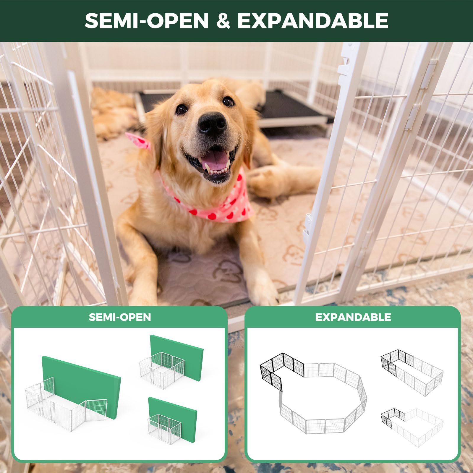 FXW Homeplus Unleashed para perros pequeños y medianos, ideal para juego seguro en interiores