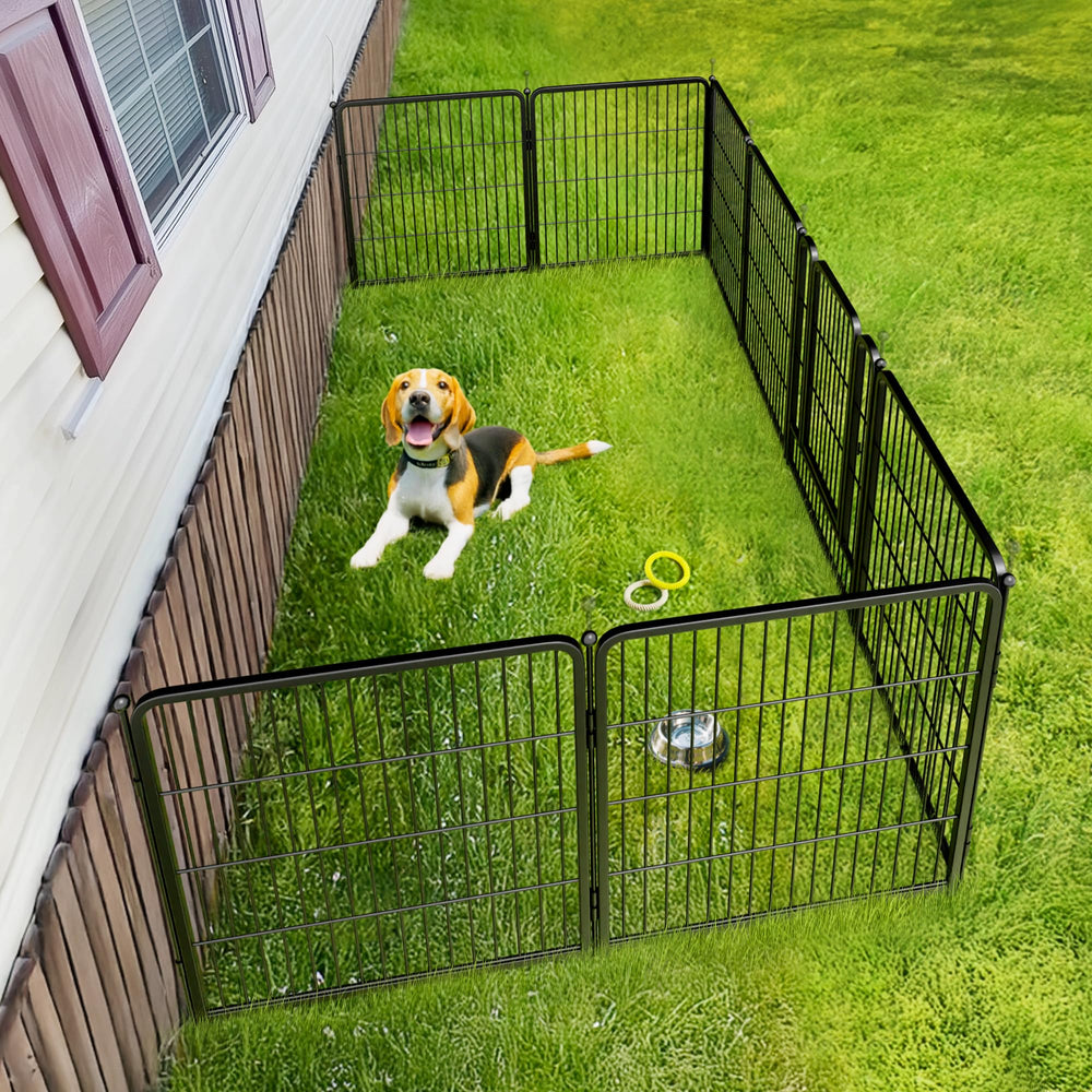 FXW Rollick ideal para perros pequeños y medianos.