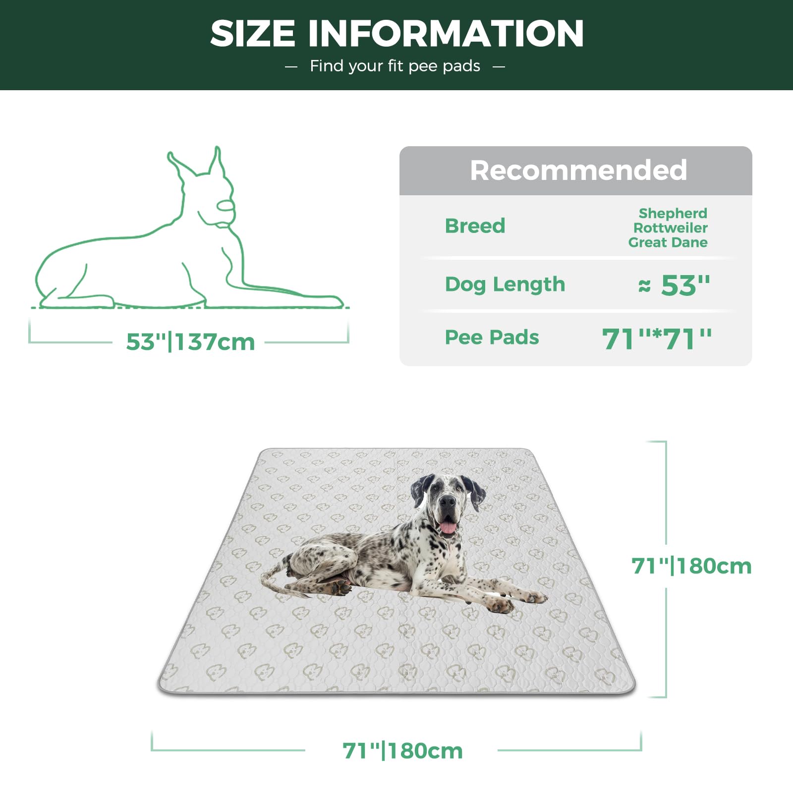 FXW tapete impermeable con TPU para protección de suelos y muebles