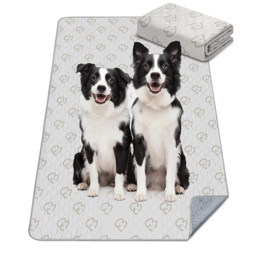 FXW tapete lavable para perros con absorción alta, mantiene el área seca.