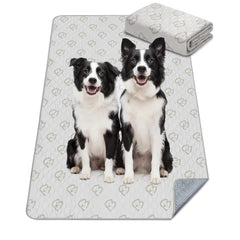 FXW tapete lavable para perros con absorción alta, mantiene el área seca.