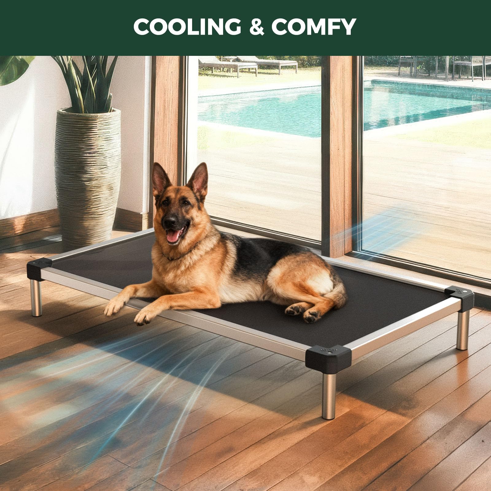 FXW TitanNest heavy-duty steel frame stays stable during play.
