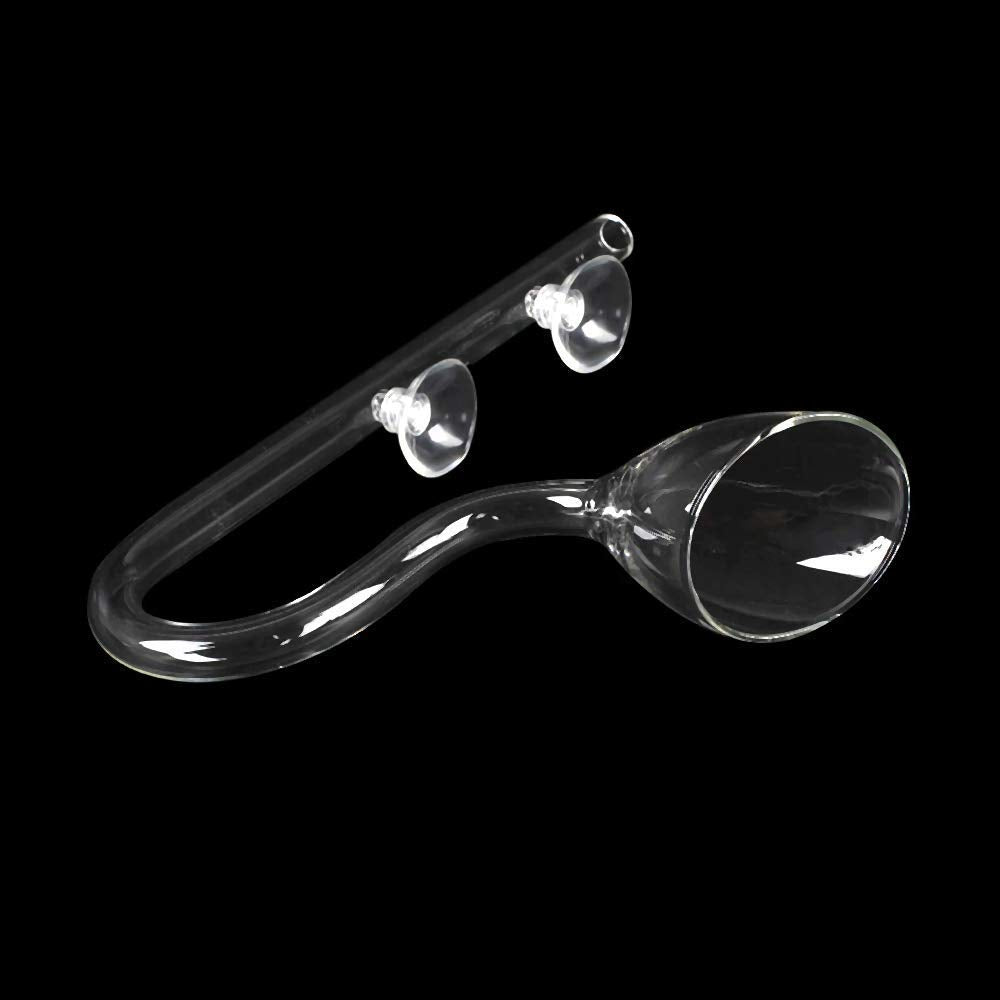 Conjunto Lily Pipe de vidrio FZONE en acuario.