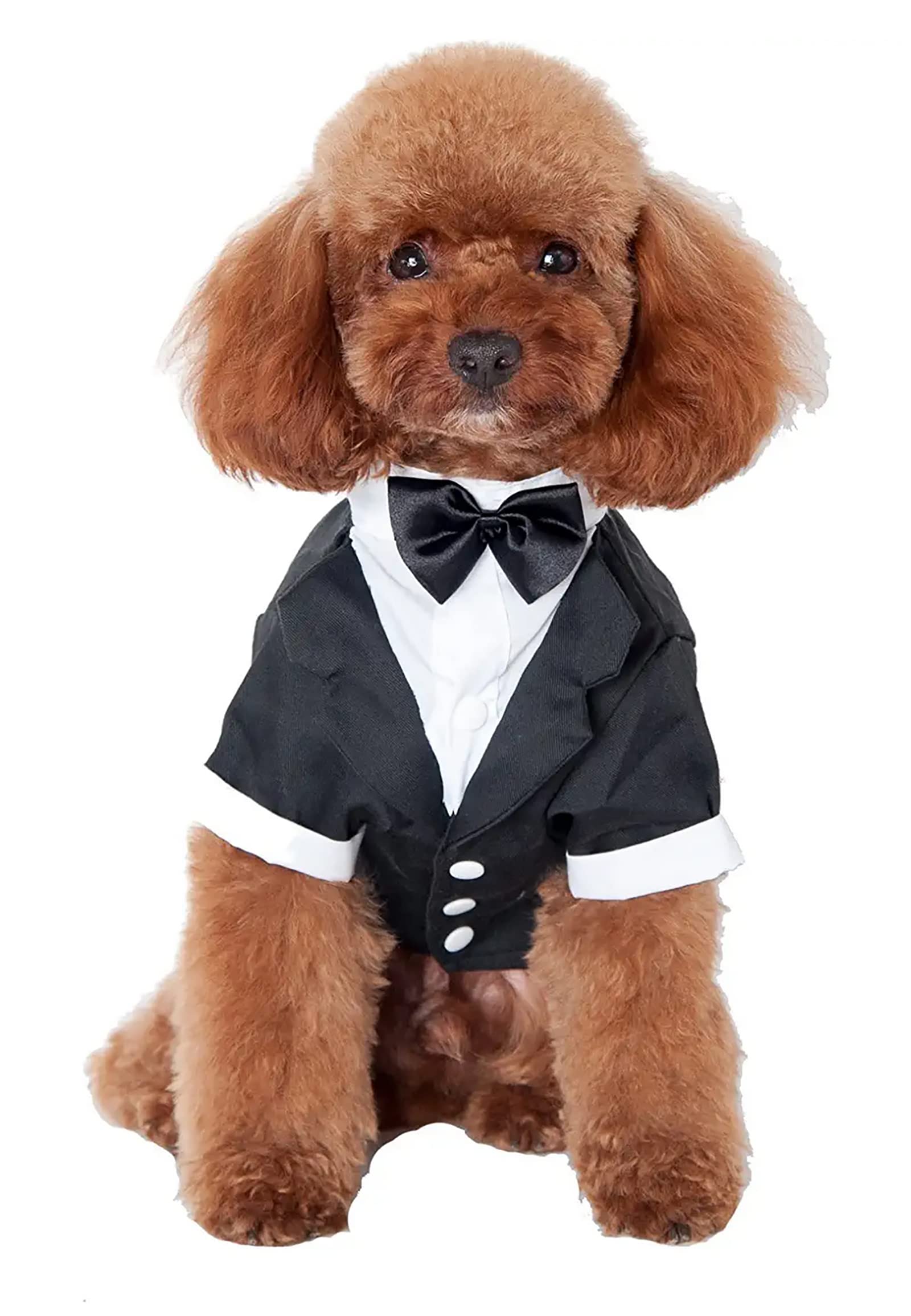 GabeFish chaqueta de boda para perros, detalle de corbatín negro.