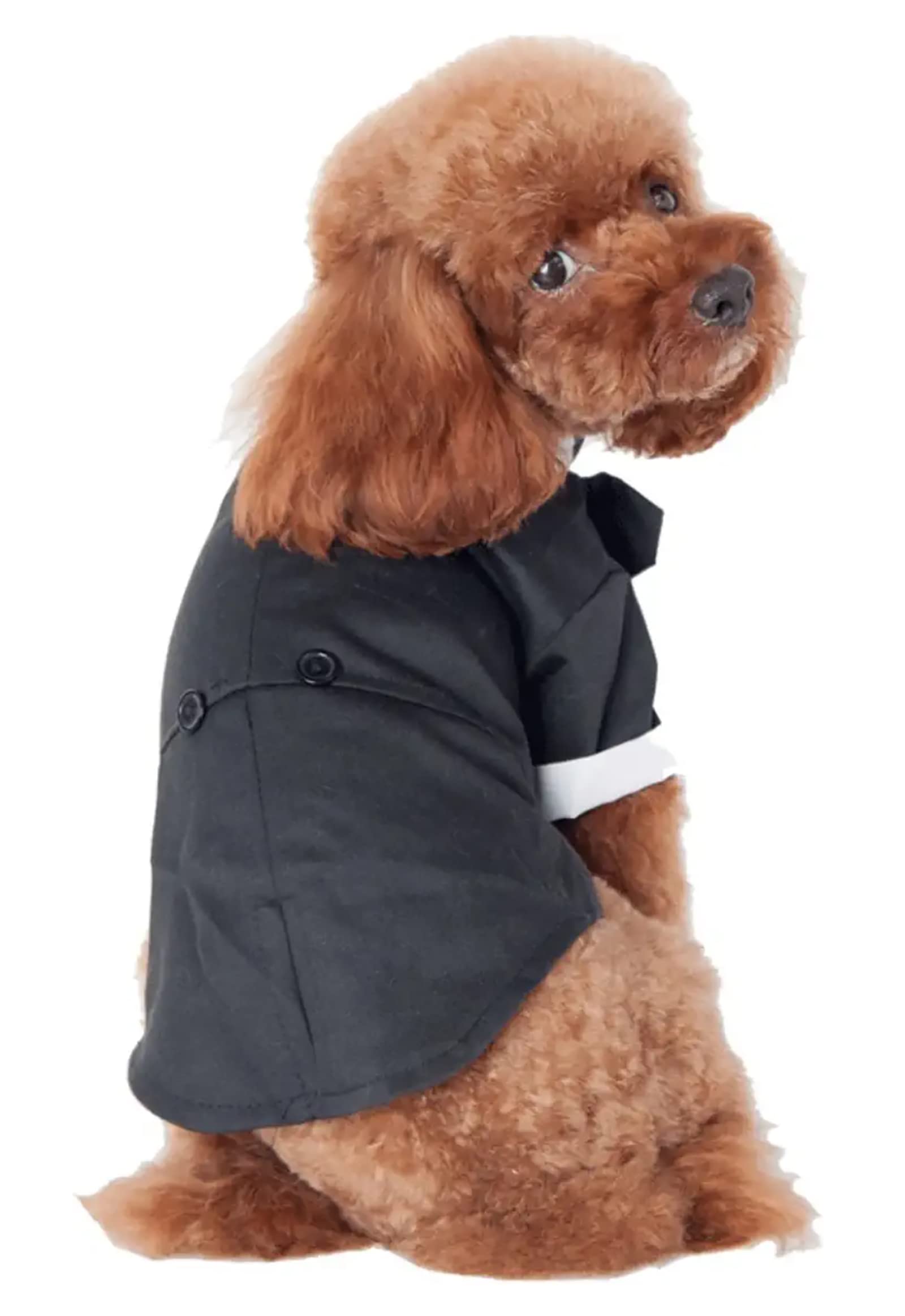 GabeFish tela ligera de poliéster, chaqueta de boda para perros.