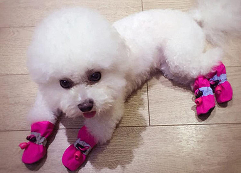 Gabefish zapatos rosa talla 3, diseño cómodo para perros pequeños.