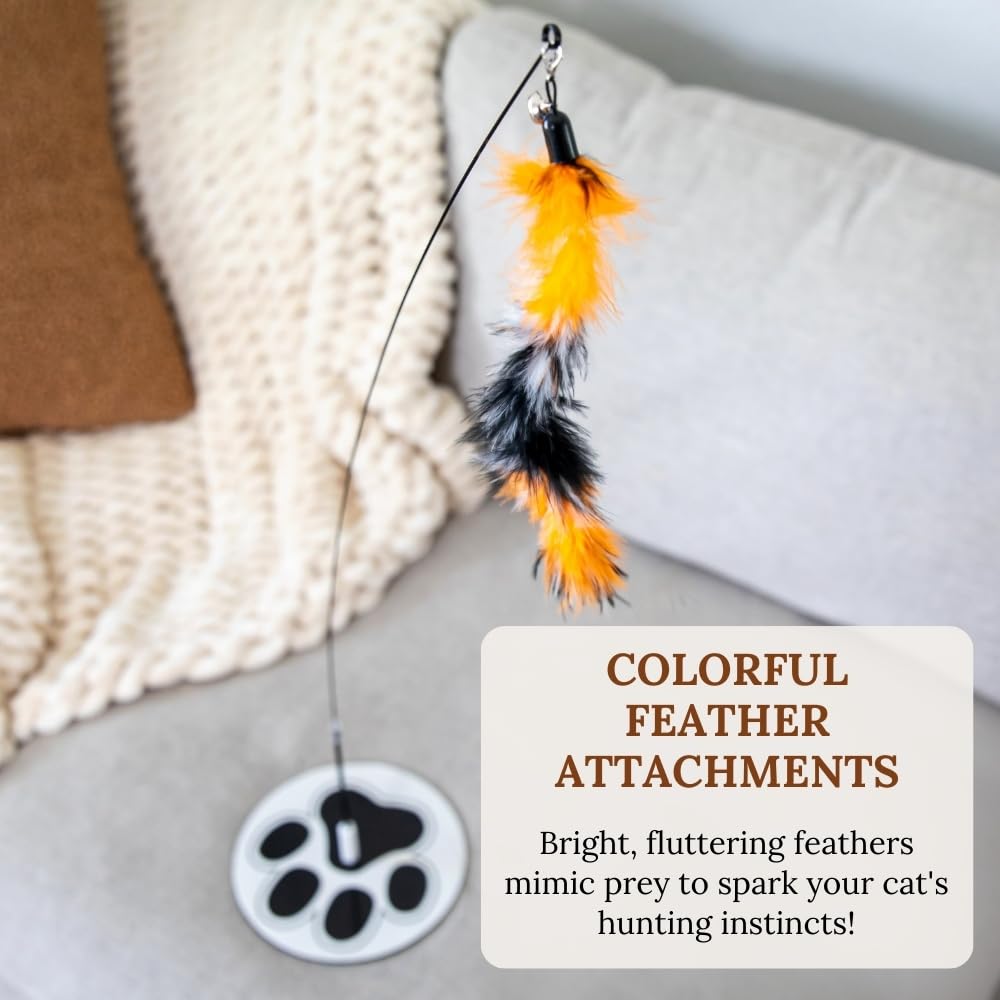 GADGETSOLOGY pack interactivo para gatos.