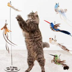 GADGETSOLOGY: gato-varita-juguete-con-plumas, juego dinámico y caza suave.