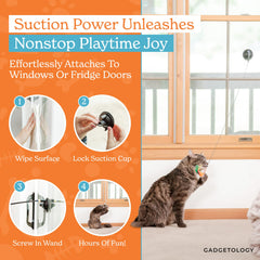 GADGETSOLOGY juego-puerta-hanging: diversión rápida a la vista del felino.