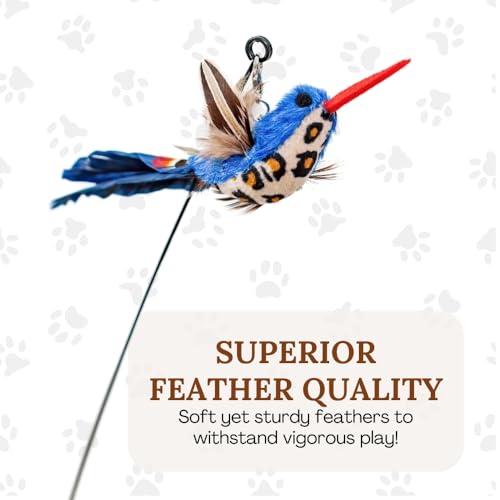 GADGETSOLOGY: kit-juguetes-interactivos-gato-aves, conjunto completo para ejercitar mente y cuerpo.