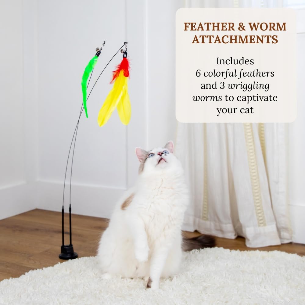 Uso interior GADGETSOLOGY para gatos activos