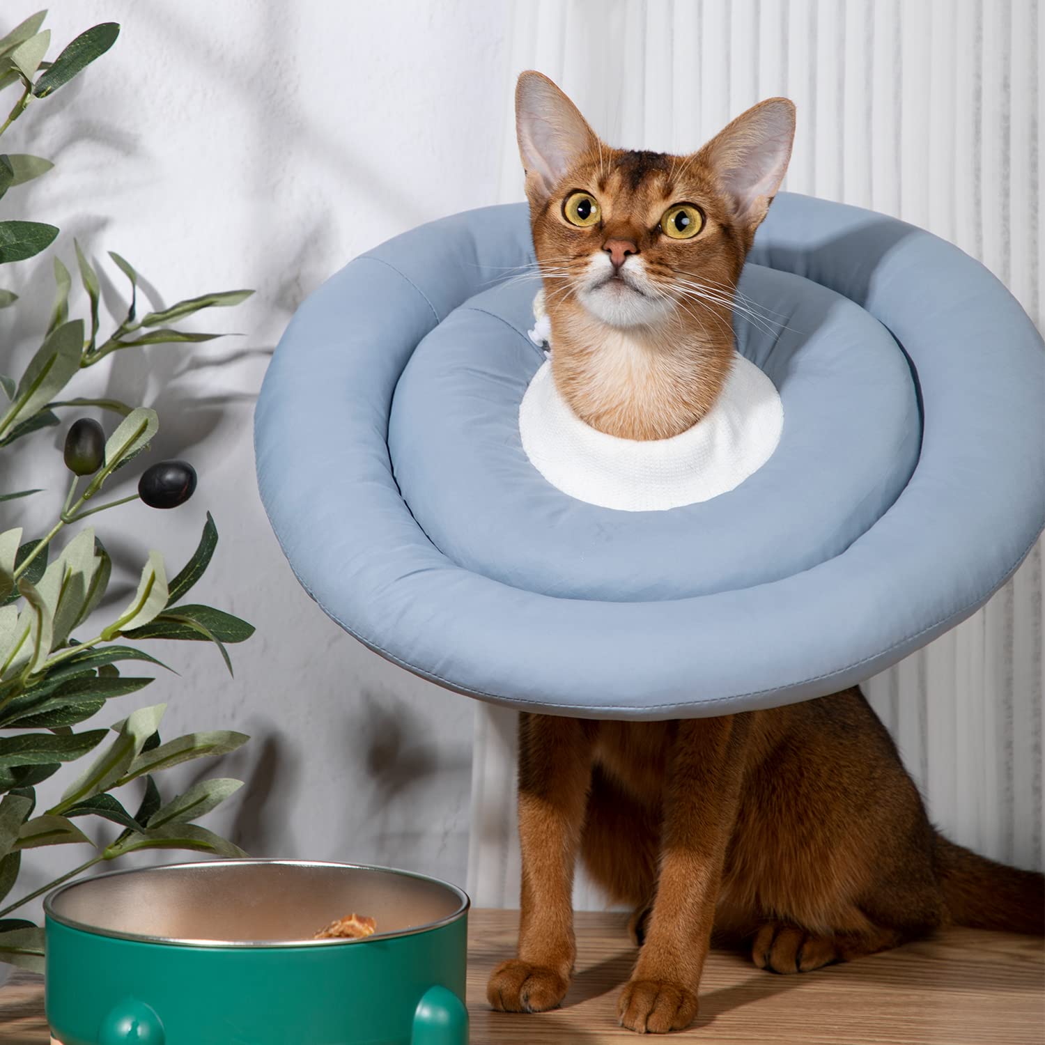 GAGABODY collar-dona interior de microfibra para dormir con mayor comodidad.
