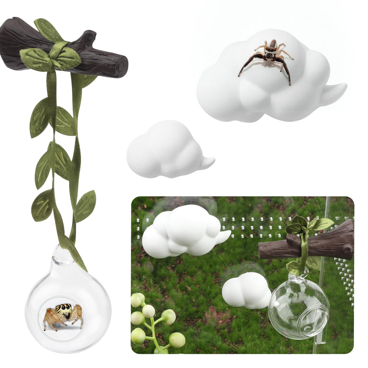 GAGILAND hábitat esfera de vidrio para observar la araña