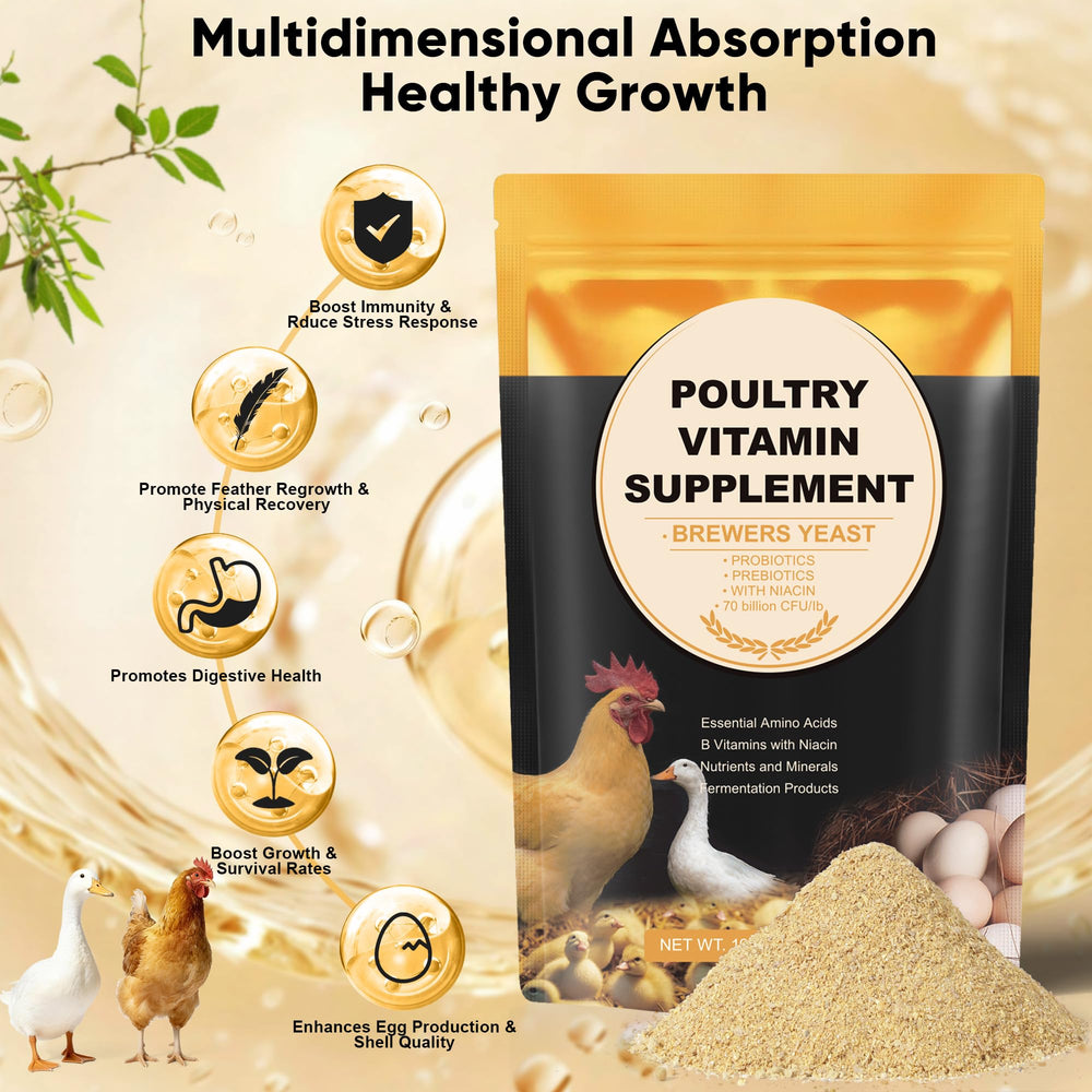GAIAKINGCO niacina para aves: nutrición clave para el crecimiento.