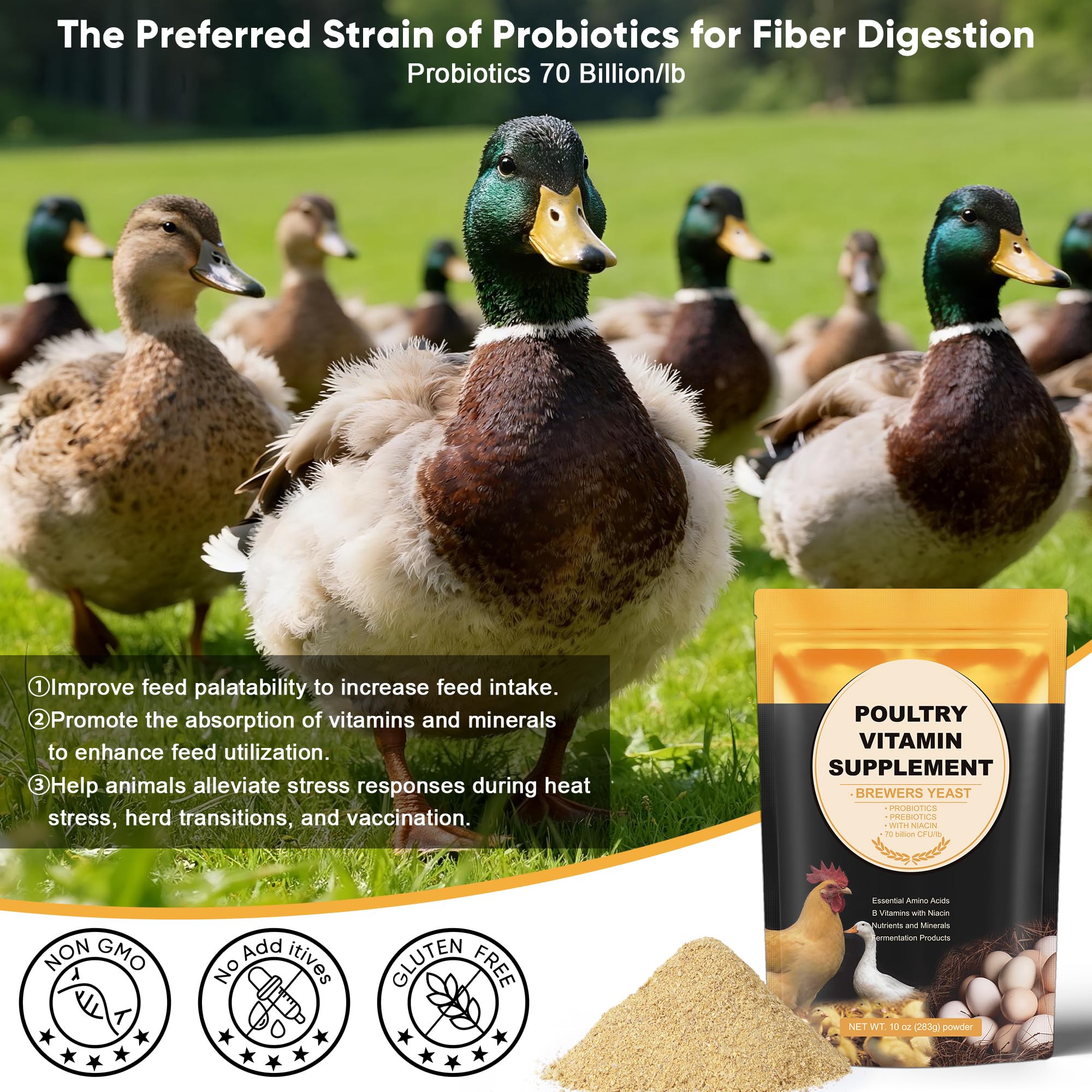 GAIAKINGCO polvo de levadura puro para pollos y patos en la ración diaria.